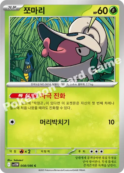 쪼마리