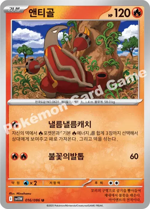 앤티골