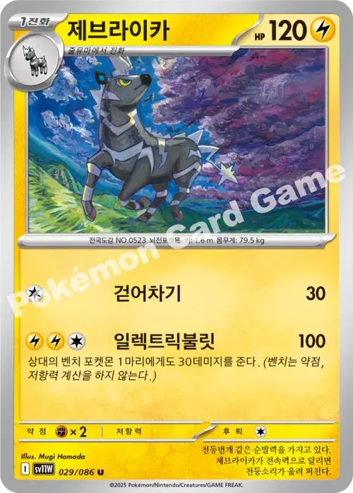 제브라이카