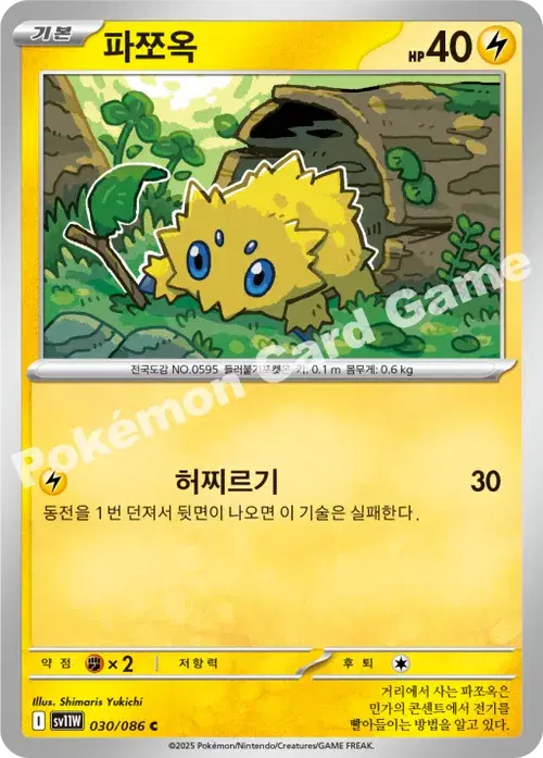 파쪼옥