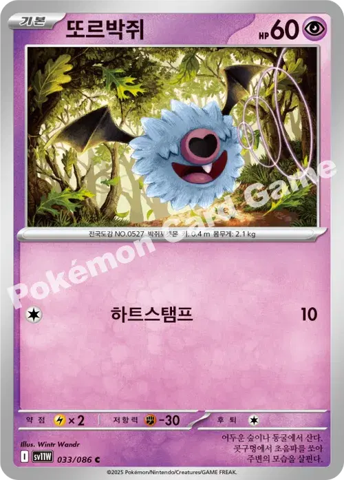 또르박쥐