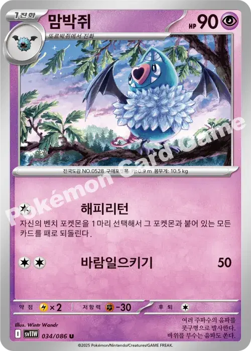 맘박쥐