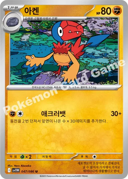 아켄