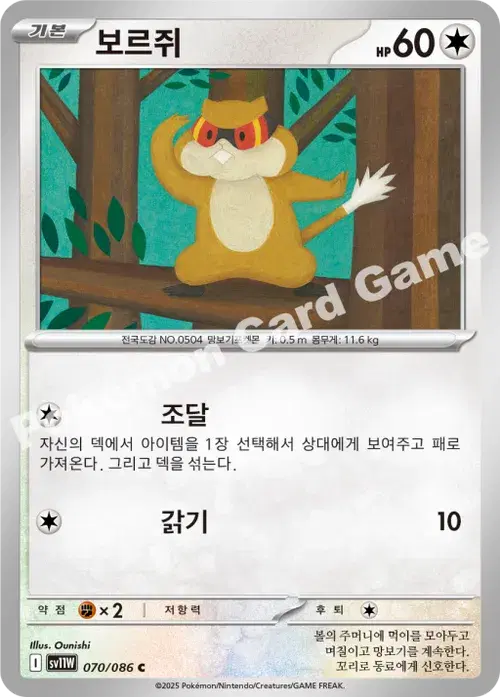 보르쥐