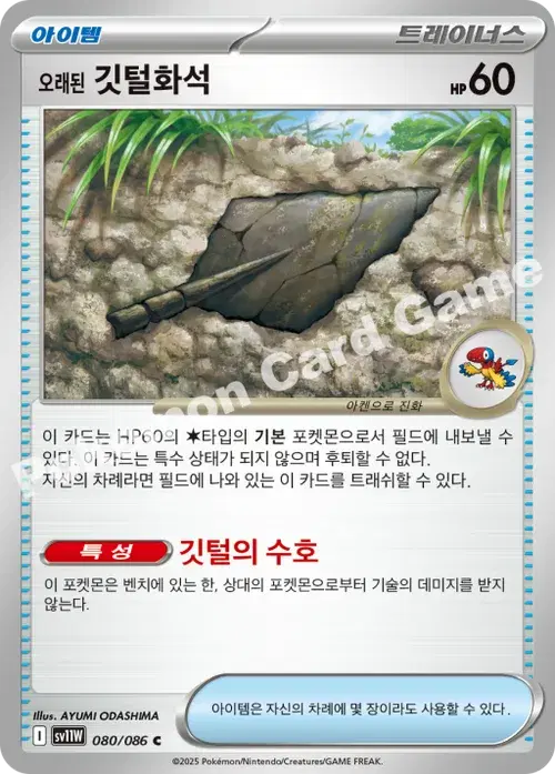 오래된 깃털화석