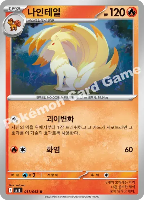 나인테일