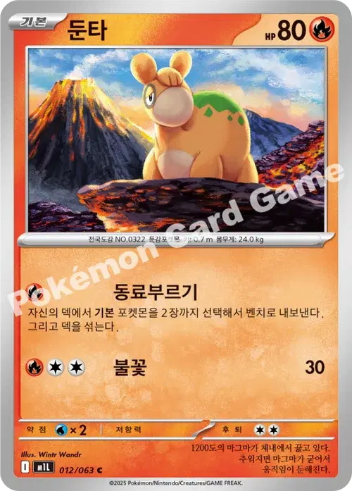 둔타