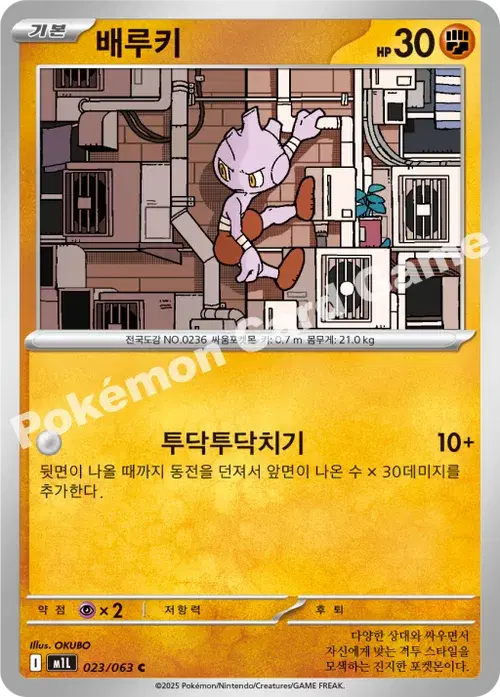 배루키
