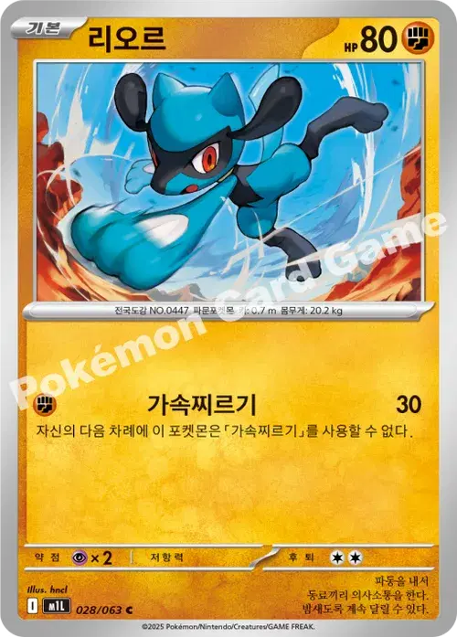 리오르