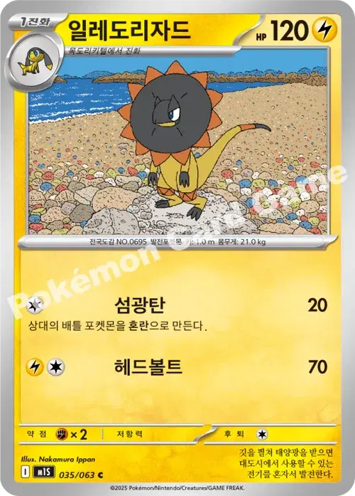 일레도리자드