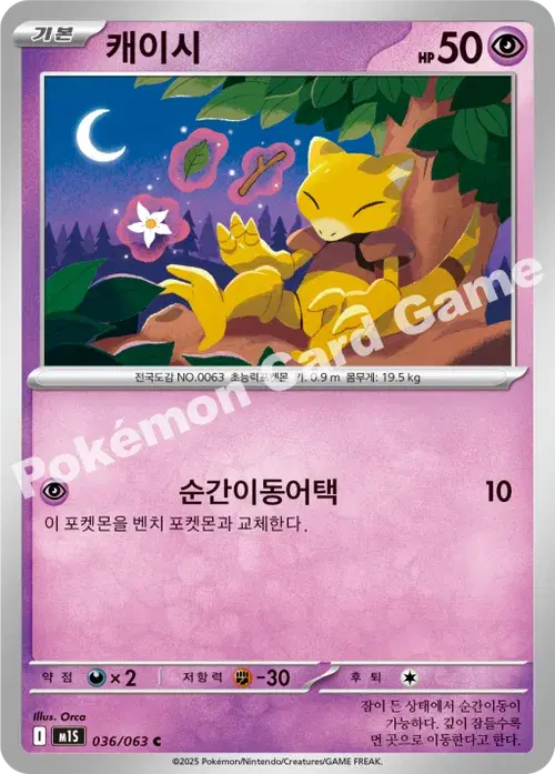 캐이시