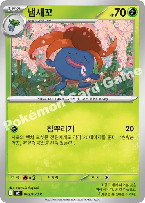 냄새꼬