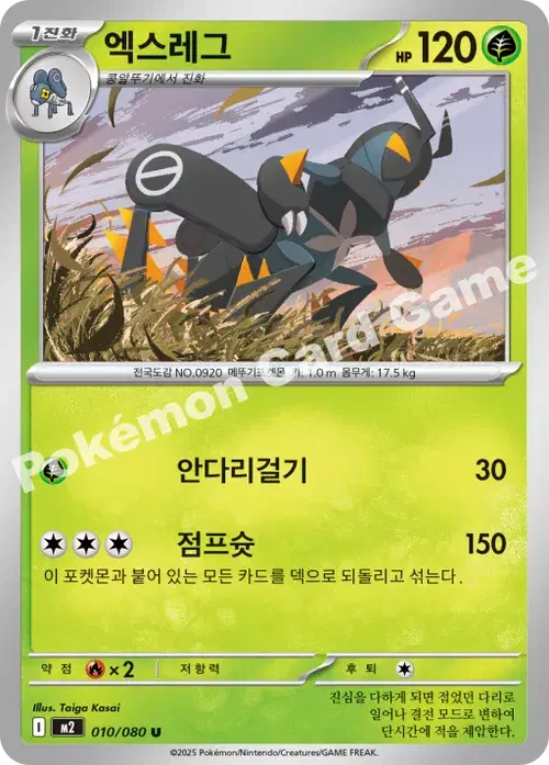 엑스레그