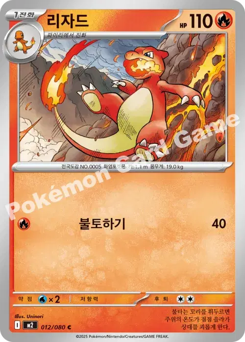 리자드