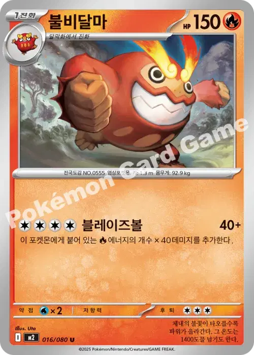불비달마