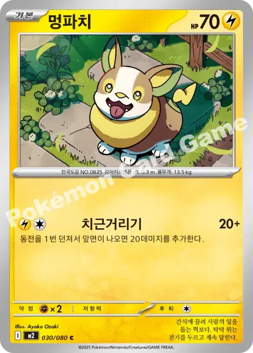 멍파치