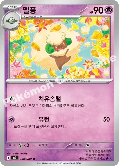 엘풍