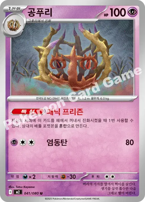 공푸리