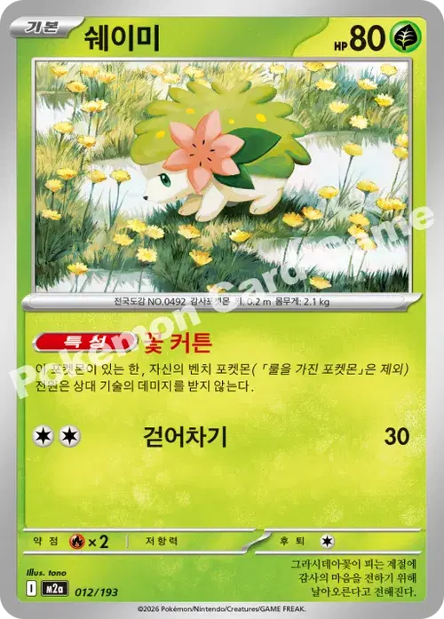 쉐이미