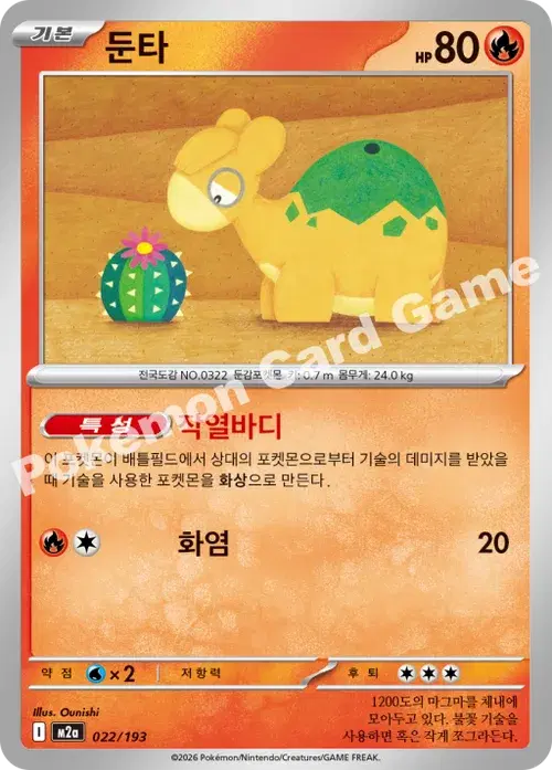 둔타