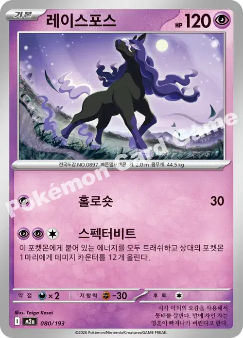 레이스포스
