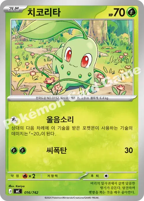 치코리타
