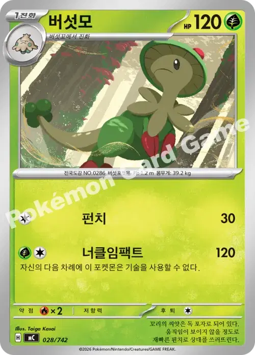 버섯모