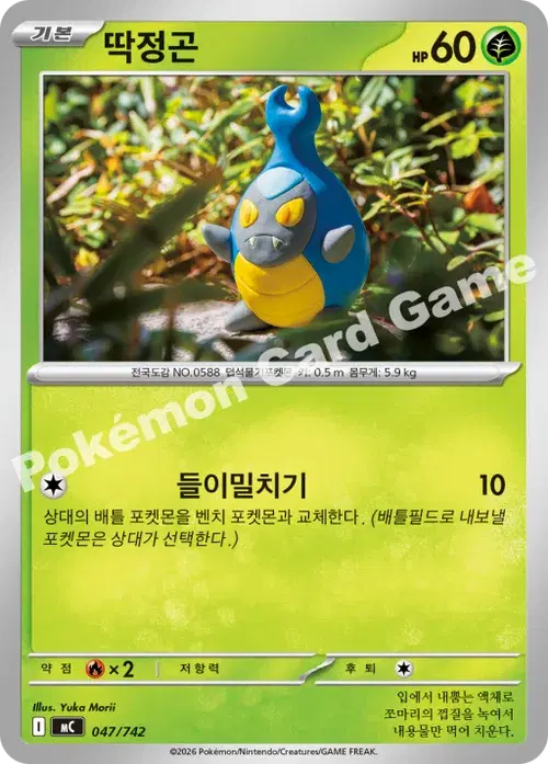 딱정곤