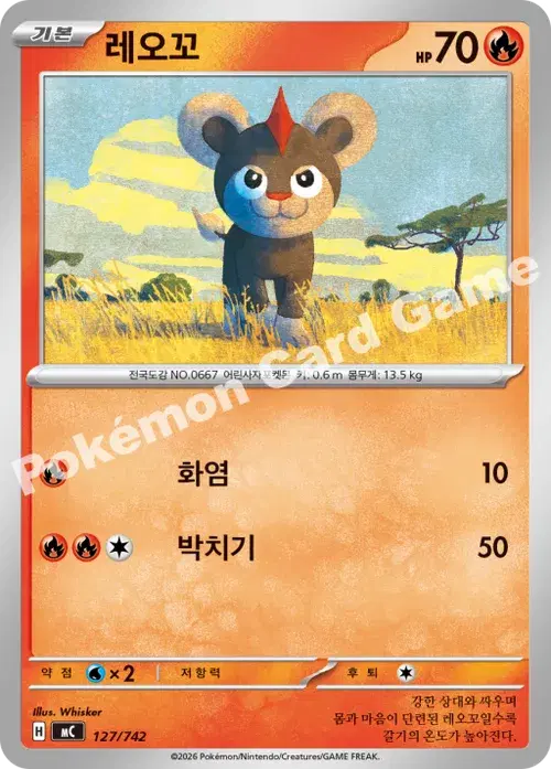 레오꼬