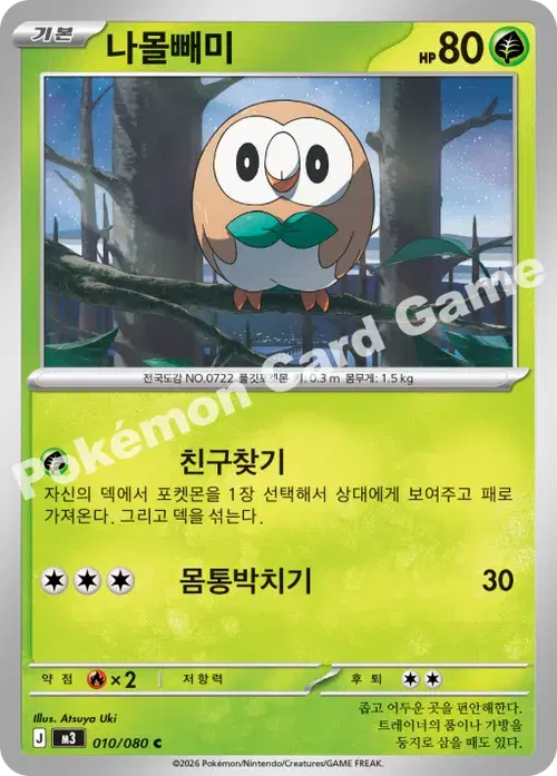 나몰빼미