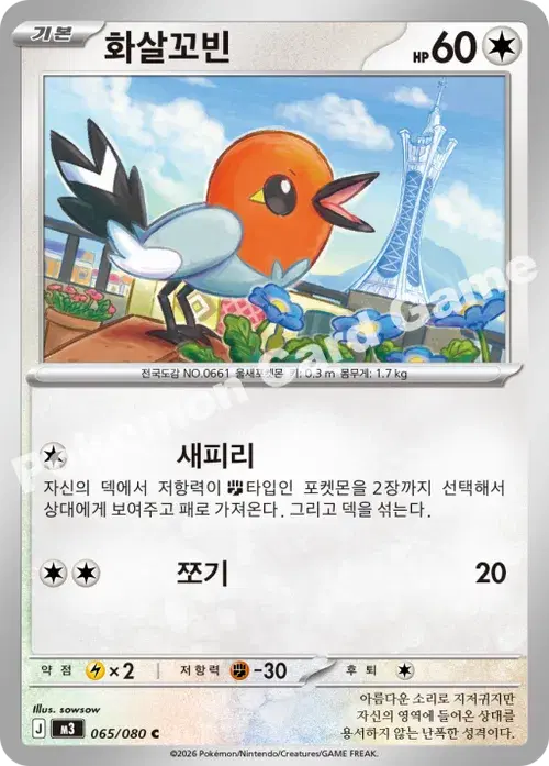 화살꼬빈