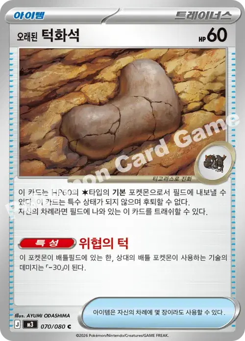 오래된 턱화석