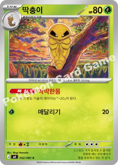 딱충이