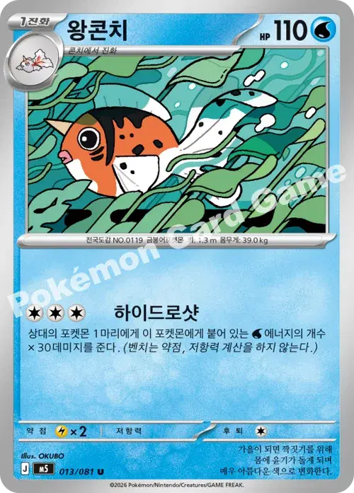 왕콘치