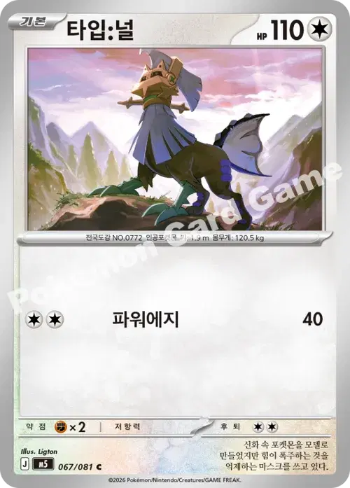 타입:널