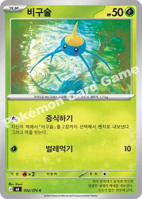 비구술