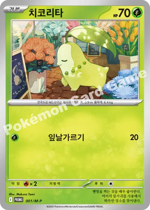 치코리타