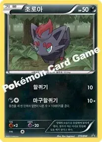 조로아
