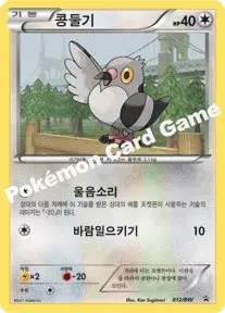 콩둘기