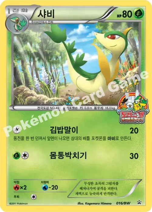 샤비