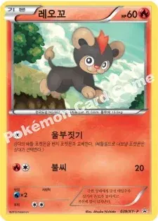 레오꼬