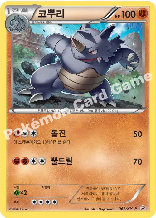 코뿌리