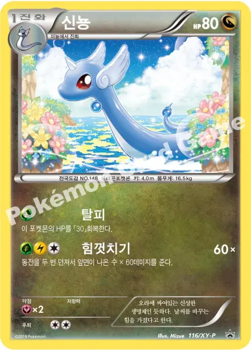 신뇽