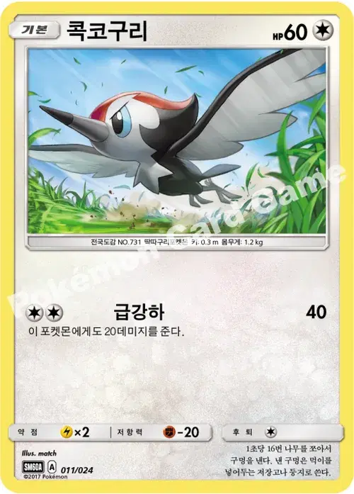 콕코구리