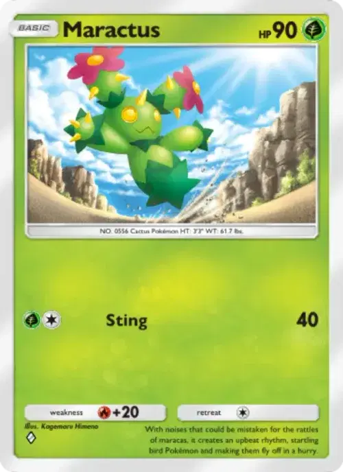 Maractus