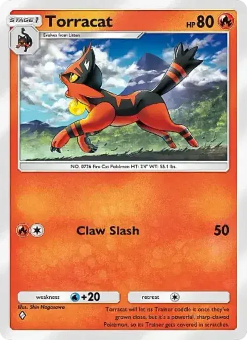 Torracat