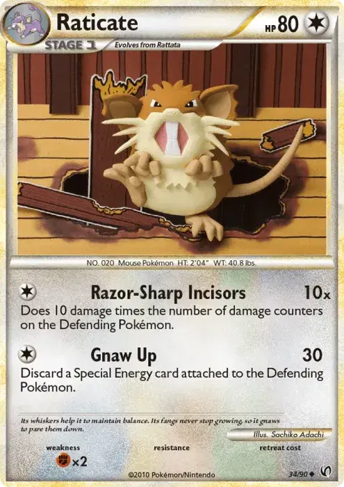 Raticate