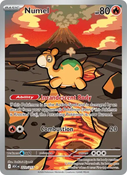 Numel