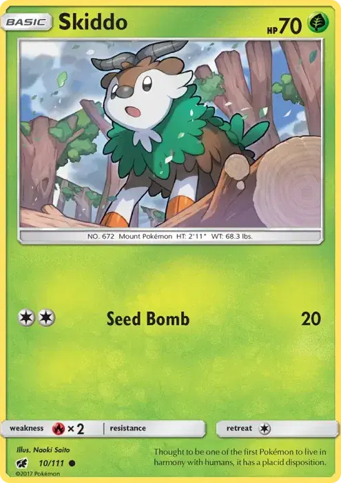 Skiddo