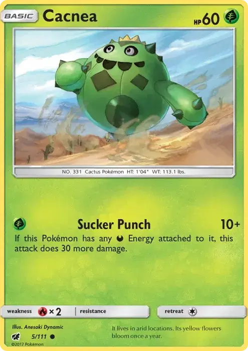 Cacnea